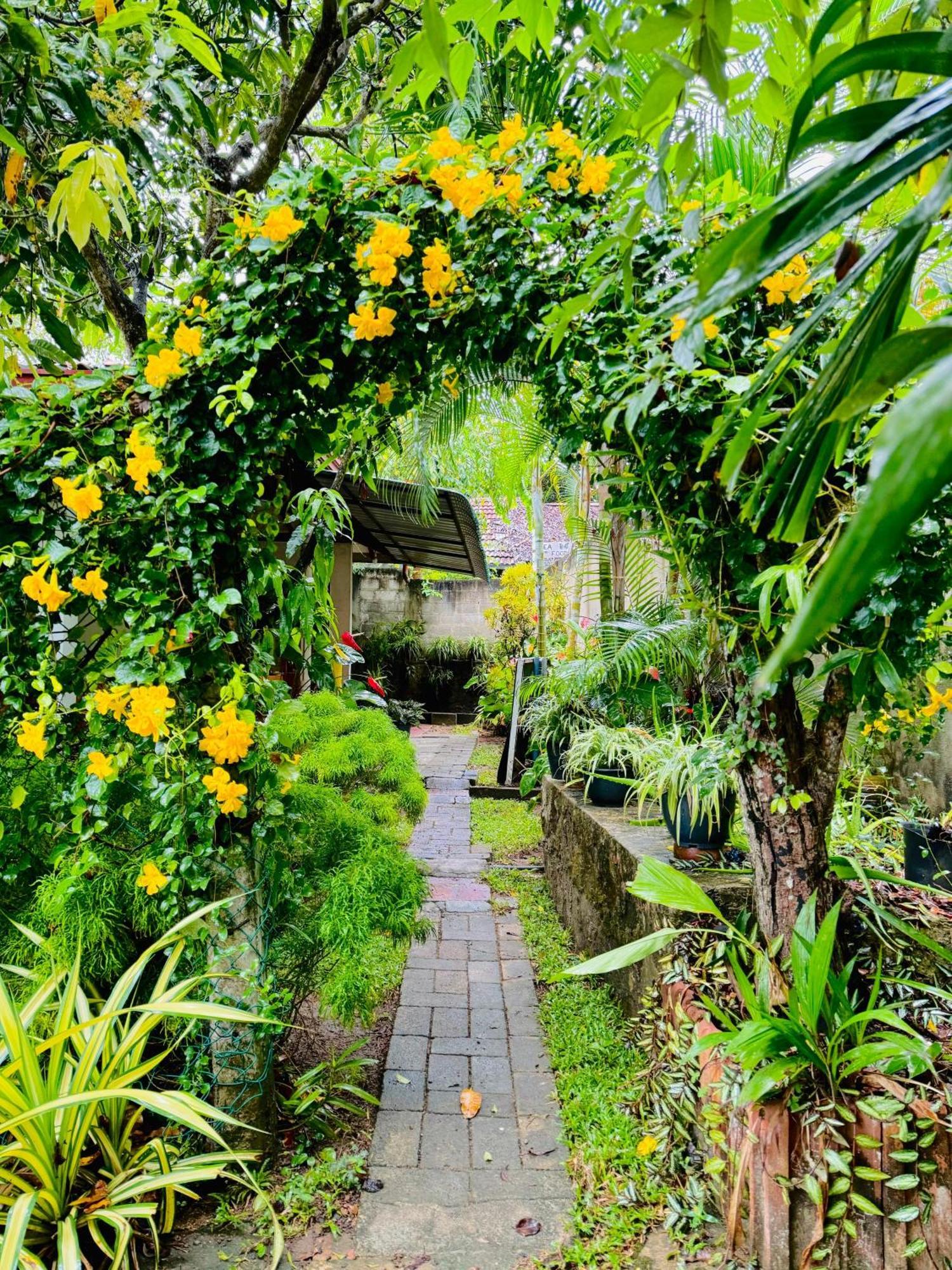 Nethmi Homestay & Restaurant Tangalle Zewnętrze zdjęcie