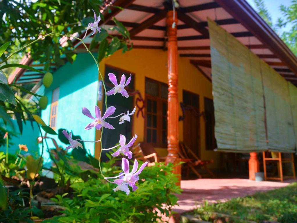 Nethmi Homestay & Restaurant Tangalle Zewnętrze zdjęcie