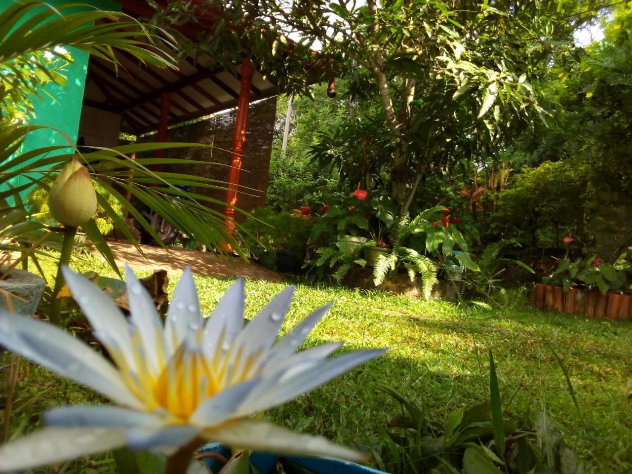 Nethmi Homestay & Restaurant Tangalle Zewnętrze zdjęcie